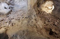 Phát hiện hài cốt của 9 người Neanderthal trong hang