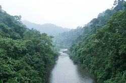 22 triệu USD bảo vệ rừng ven biển Quảng Bình