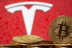 Giá Bitcoin có thể chạm ngưỡng 44.000 USD sau động thái của Elon Musk