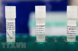 Dịch COVID-19: Hiệu quả vaccine của Novavax lên tới hơn 90%