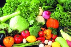 Phòng ngừa nguy cơ cho người bệnh phổi tắc nghẽn mạn tính trong đại dịch