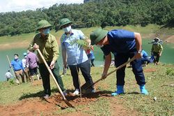 Trồng 0,5 ha cây lim xẹt và đào rừng tại khu vực thác Khuổi Nhi