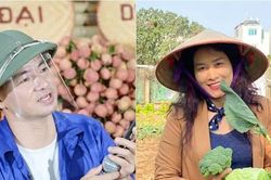 Livestream đâu phải để bóc phốt: Nghệ sĩ chốt đơn bán vải giúp bà con, netizen vơi nhớ nhà