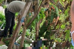 Hai nhóm thanh niên hỗn chiến, một người rơi từ tầng 4 tử vong