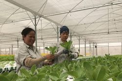 Đề xuất gói hỗ trợ 8.600 tỷ cho doanh nghiệp nông nghiệp
