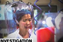Nhà dơi học Trung Quốc lên tiếng về thí nghiệm gây tranh cãi ở Vũ Hán