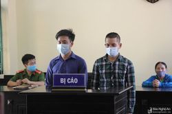 Không trộm được chó, hai thanh niên 'đành' cuỗm điện thoại