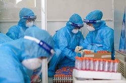 Sáng 15/6, Việt Nam ghi nhận 71 ca mắc mới COVID-19