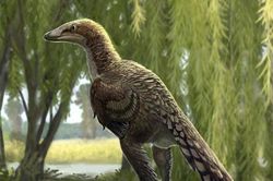 Một loài khủng long mới được phát hiện tại Tây Ban Nha có vẻ ngoài gần giống như loài chim hiện đại