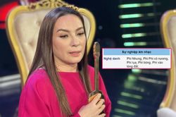 Anti-fan tấn công trang Wikipedia của Phi Nhung, thêm loạt nghệ danh 'mỉa mai' giữa liên hoàn drama