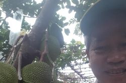 Ngày giết sâu bọ