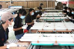 Giảm gánh nặng cho doanh nghiệp trong cơn bĩ cực