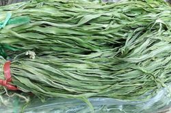 Bó rau khô như nắm rơm mà giá tận 500.000 đồng/kg