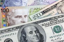 Tỷ giá ngoại tệ hôm nay 16/6: Đồng USD tiếp đà hồi phục