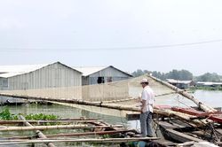 Xử lý nghiêm trường hợp khai thác thủy sản tận diệt