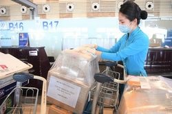 Vietnam Airlines chuyên chở Đội phản ứng nhanh bệnh viện Chợ Rẫy trở về TP.HCM
