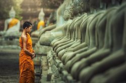 Cúi đầu là bông lúa, ngẩng đầu là cỏ dại: Ai trưởng thành cũng ít nhất 3 lần cúi đầu