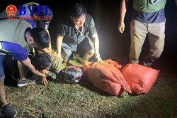 Triệt xóa đường dây ma túy ở 'đất lửa' Điện Biên, thu giữ 24kg ma túy
