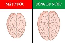 7 thói quen có thể làm thay đổi não bộ