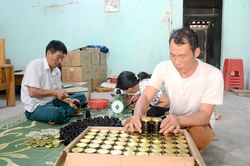 Phát triển cây dược liệu dưới tán rừng: Vẫn còn manh mún, tự phát