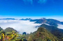 Trekking Tả Liên Sơn - Khám phá khu rừng cổ tích