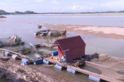 Khắc phục tình trạng cá lồng chết hàng loạt