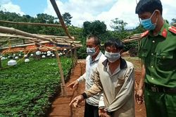 Bắt 2 đối tượng trồng hơn 2.600 cây cần sa ở Đắk Nông