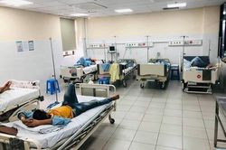 5 công nhân nôn dữ dội sau khi uống rượu ngâm loại củ giống nhân sâm
