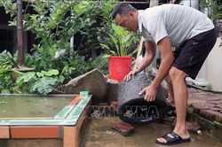 Dịch sốt xuất huyết đến chu kỳ bùng phát, Hà Nội ngăn chặn ngay từ đầu