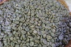 Giá cà phê hôm nay ngày 31/5 đồng loạt tăng nhẹ