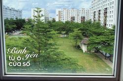 'Bình yên từ ô cửa sổ': Bộ ảnh lan tỏa lạc quan những ngày ở nhà chống dịch