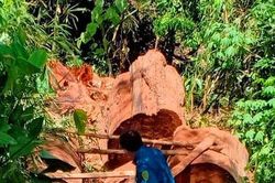 Gia Lai: Bắt 5 lâm tặc 'xẻ thịt' hơn 28m³ gỗ