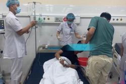 5 người nhập viện do uống rượu ngâm củ cây Thương Lục