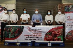 Nông sản Việt chinh phục châu Âu