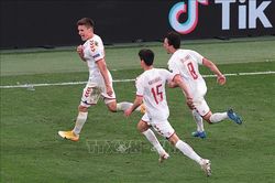 Cựu tiền đạo Tomasson kêu gọi các cầu thủ Đan Mạch tập trung trước xứ Wales