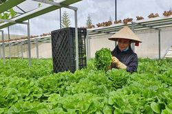 Nông dân cần được 'chỉ lối'