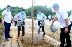 Huyện Yên Sơn phát động hưởng ứng Chương trình trồng 1 tỷ cây xanh