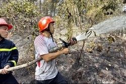 Sét đánh cháy rừng trên đỉnh Phú Sơn