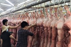 TP.HCM: Chợ đầu mối Hóc Môn tạm dừng hoạt động từ 0h ngày 28/6 để phòng, chống dịch Covid-19