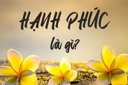 'Nhiệt kế' của hạnh phúc