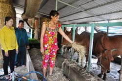 Ưu tiên phát triển kinh tế - xã hội vùng đồng bào dân tộc Khmer