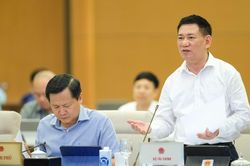 Chính phủ trình phương án sử dụng nguồn tăng thu, tiết kiệm chi năm 2021