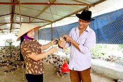 Tích cực phòng, chống dịch bệnh, bảo vệ đàn vật nuôi