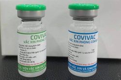 Vaccine Covivac kết thúc thử nghiệm lâm sàng giai đoạn 1