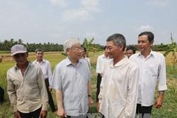 Học cách bắt tay