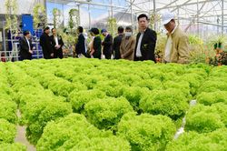 Phát triển kinh tế tập thể từ giải pháp chính sách
