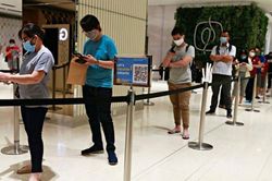 EU và WHO ra mắt công cụ đánh giá hiệu quả truy vết tiếp xúc