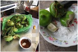 Khoe loại quả đặc sản miền Tây, chàng trai khiến netizen 'ứa nước miếng'