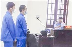 54 tháng tù về tội 'Tổ chức cho người khác nhập cảnh trái phép'