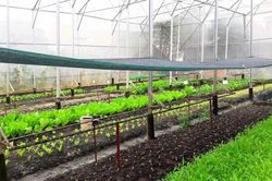 Hình thành nhiều vùng sản xuất nông nghiệp công nghệ cao